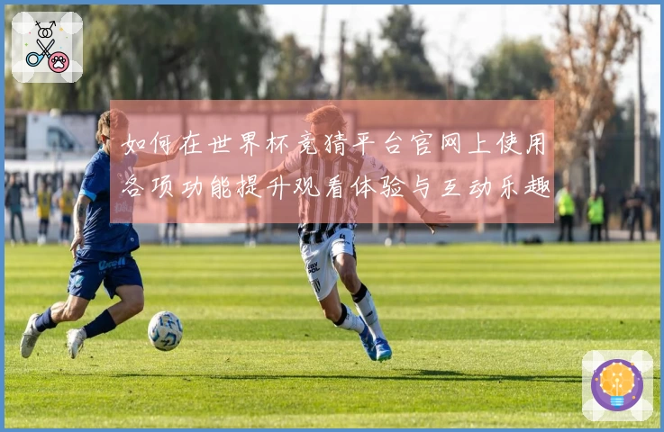 如何在世界杯竞猜平台官网上使用各项功能提升观看体验与互动乐趣