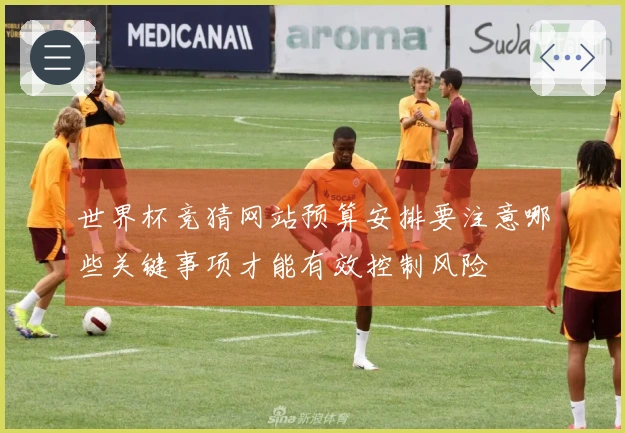 世界杯竞猜网站预算安排要注意哪些关键事项才能有效控制风险
