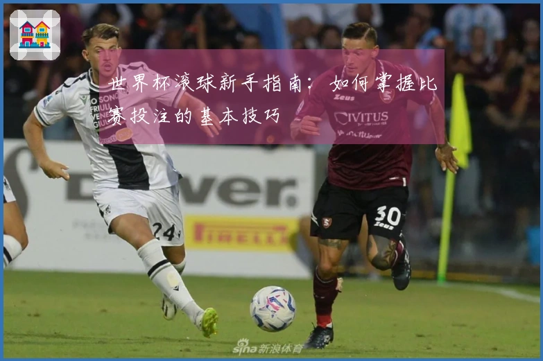 世界杯滚球新手指南：如何掌握比赛投注的基本技巧