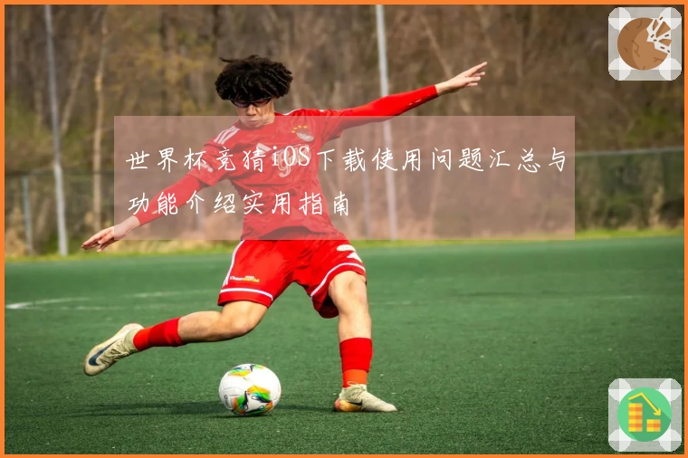 世界杯竞猜iOS下载使用问题汇总与功能介绍实用指南