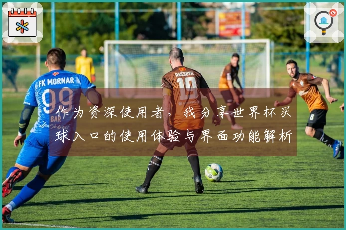 作为资深使用者,我分享世界杯买球入口的使用体验与界面功能解析