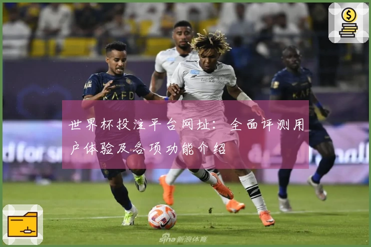 世界杯投注平台网址：全面评测用户体验及各项功能介绍
