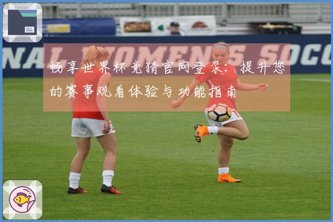 畅享世界杯竞猜官网登录：提升您的赛事观看体验与功能指南