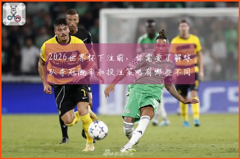 2026世界杯下注前，你需要了解球队夺冠概率和投注策略有哪些不同之处